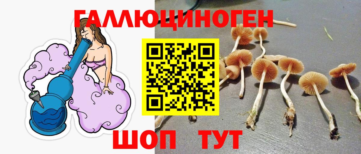 Псилоцибиновые грибы Magic Shrooms Абинск